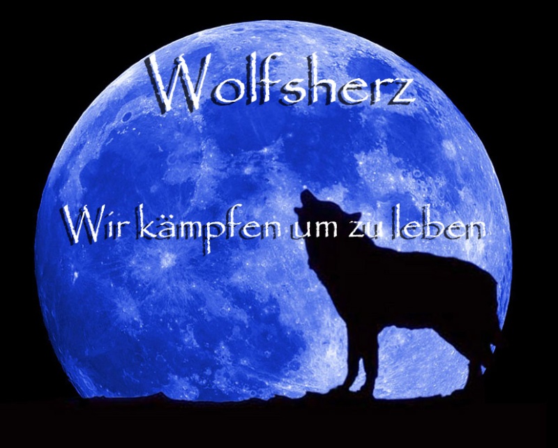 Wolfsherz (Partnerschaftsanfrage) Banner10