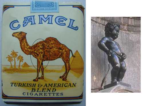 camel - mirage Camel_10