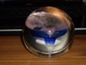 I.D My Paperweight Please !. Finds_16