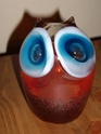 Please I.D my owl ! ... Owl_0010