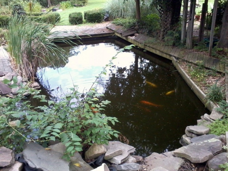 Cell Phone Pond pics...  12072314