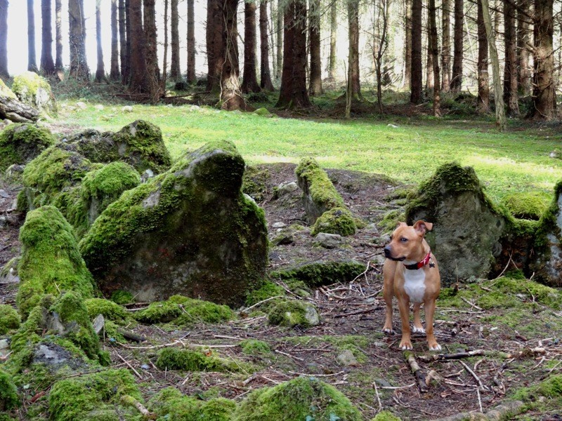 Akira and forest ruins  Dsc00512