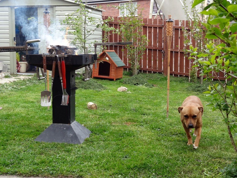 Akira "helping" with BBQ ( plenty pictures ) Dsc00620