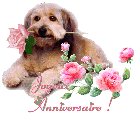 1+1= 2 anniversaires...... Joyeux21