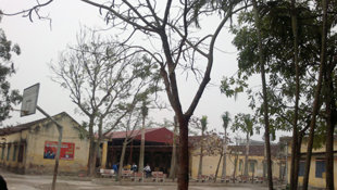 1 học sinh bị cô giáo mắng nhảy lầu tự tử tại Thái Bình 20120113
