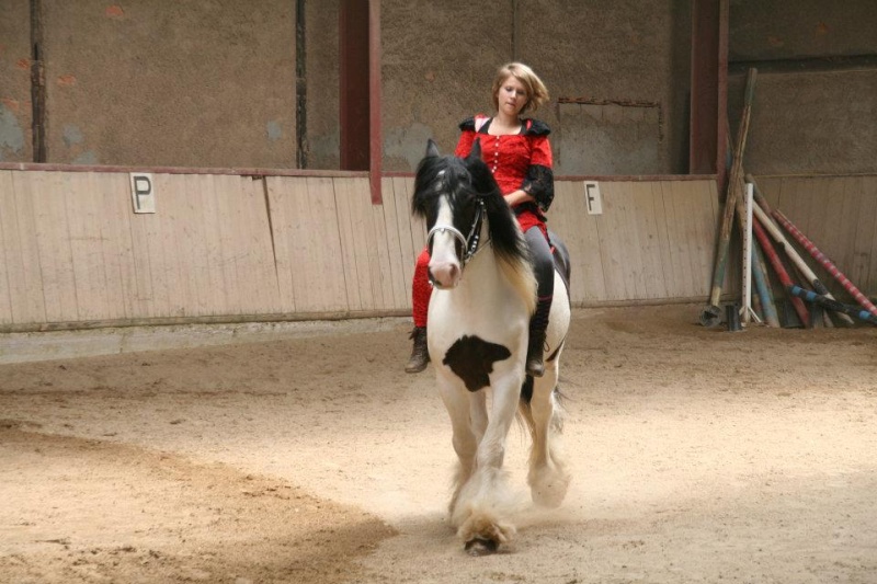 chouchou en mode fete du club avec sa cavalière  24655610