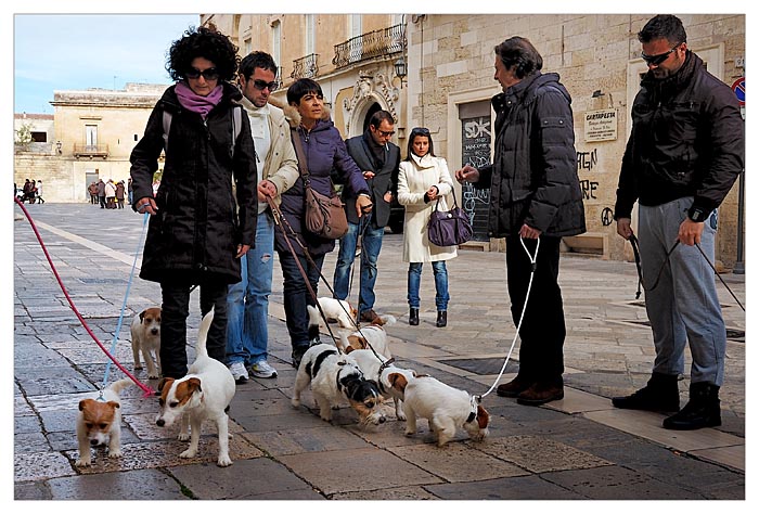 18.12.2011 giornata jack russell e tanti altri terrier, passegiata a lecce e pranzo tutti insieme al Vecchio castello - Pagina 2 3610