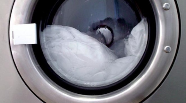 Un chat sort indemne d'une machine à laver Machin10