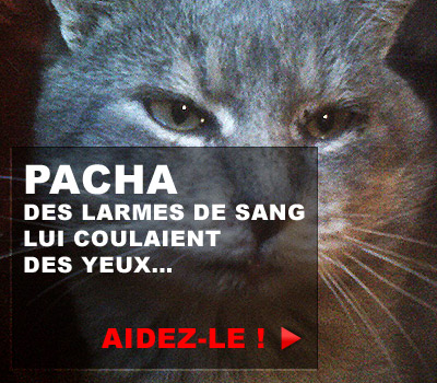Clic Animaux - Page 8 Promol10