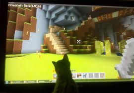 Insolite!!! Des chats dans minecraft!!! Chat_q10