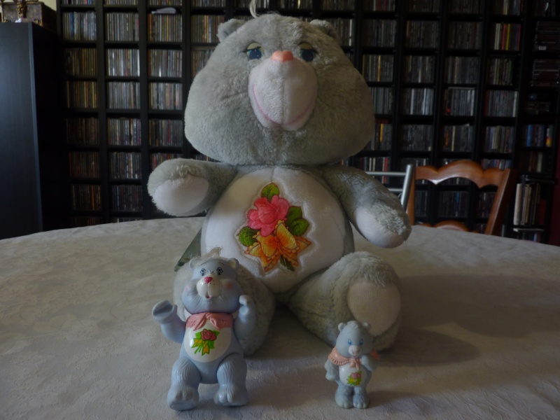 ma petite famille de bisounours et de popples - Page 4 P1080735