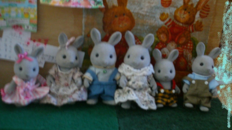 mes sylvanian Dsc01027