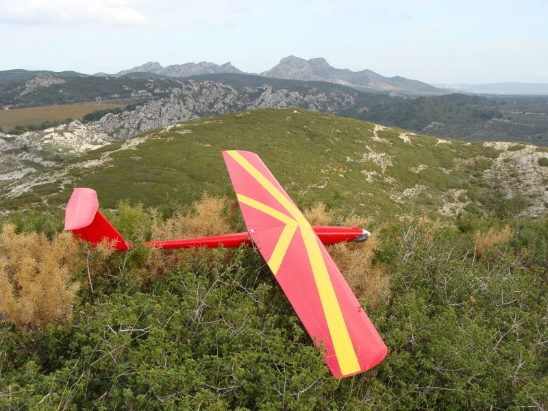 [VENDU] motoplaneur Tango Airtech prêt à voler Dsc03210