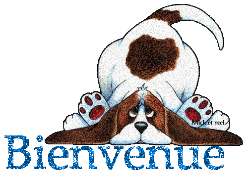 Présentation de daviddip : nouveau sur ce forum 7dd54533
