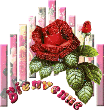 Bonjour tout le monde c'est Pamplemousse Img13311