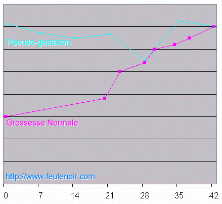 La reproduction du furet  Graphe11