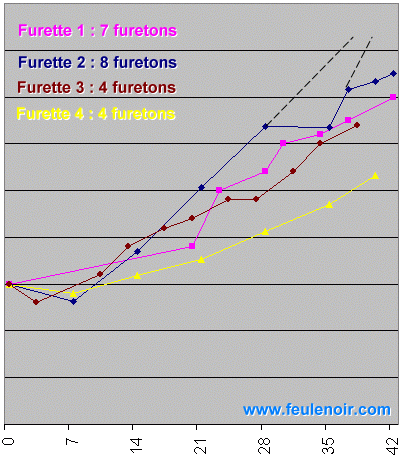 La reproduction du furet  Graphe14