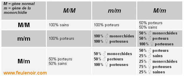 La reproduction du furet  Monorc11