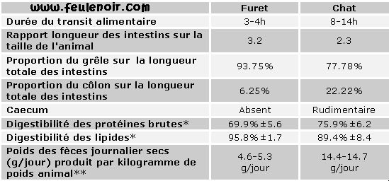 Alimentation du furet : particularités du tube digestif Table012