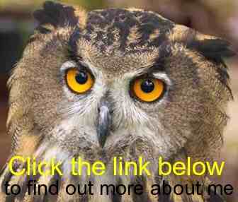 are Owls stupid as often claimed? Clink_10