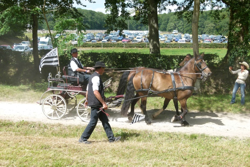 Equirando 2012 au Haras du Pin (61) - Page 3 P1040313