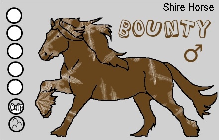 Shire Horse Bounty10