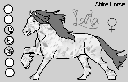 Lovely Horses Shirel10