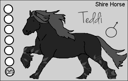 Shire Horse Shiret10