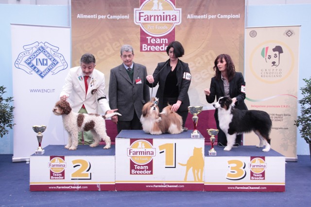 Expò canina Parma/Piacenza 17-18/03/2012 210