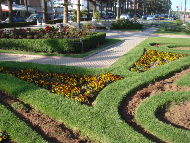 Floraisons en deçà de l éspérance Rue_ca10