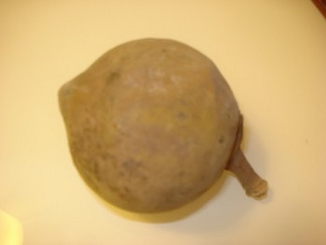 Le" bon coin "des gourmands Sapote12
