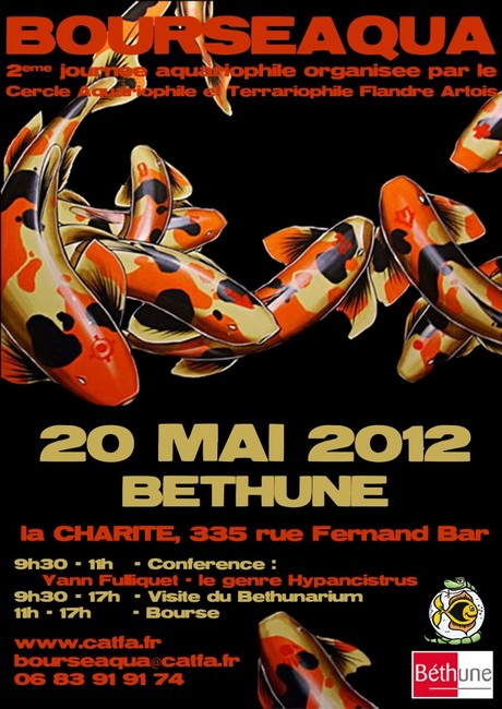 Bourse Béthune : 20 mai 2012 42171110