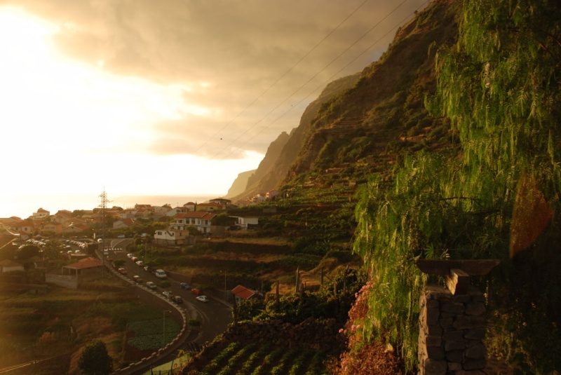 Madeira y Porto Santo Imagen20