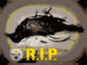 Ravens are now cursed Untitl11