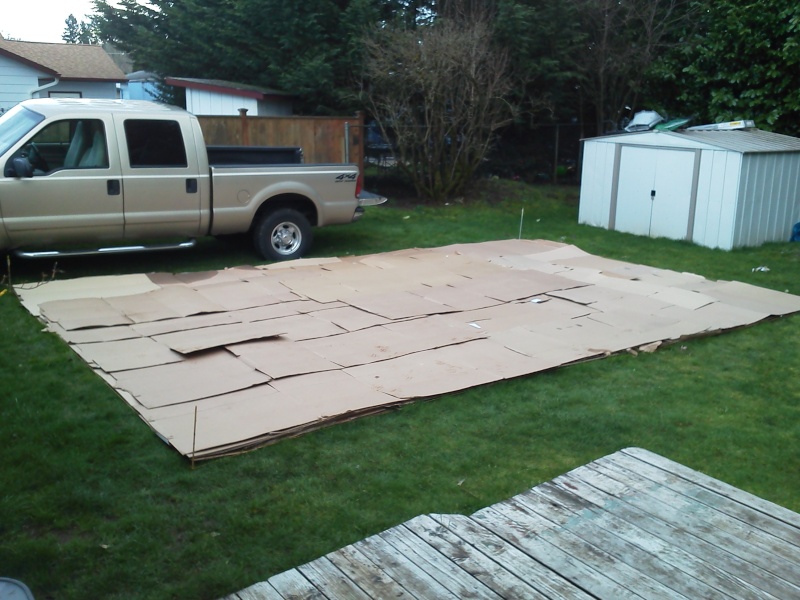 Cardboard - Cardboard vs garden cloth for weed block under raised beds? 2012_g11