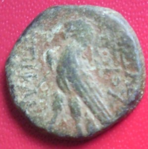 Petit bronze ptolémaïque / royaume lagide 4f817c11