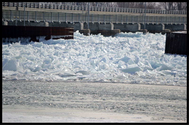 glace au pont 511
