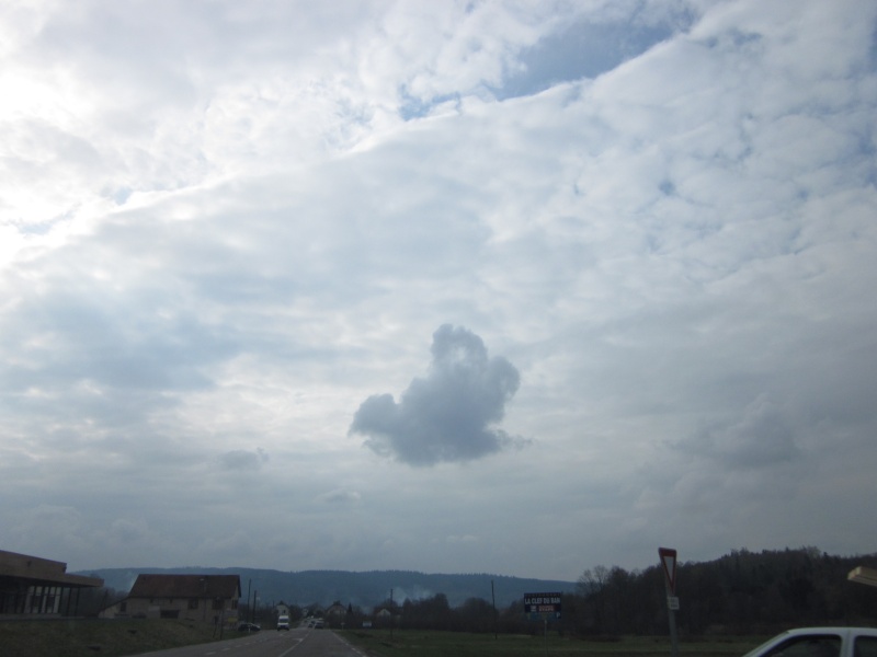 nuage en forme d'oiseau Img_0610