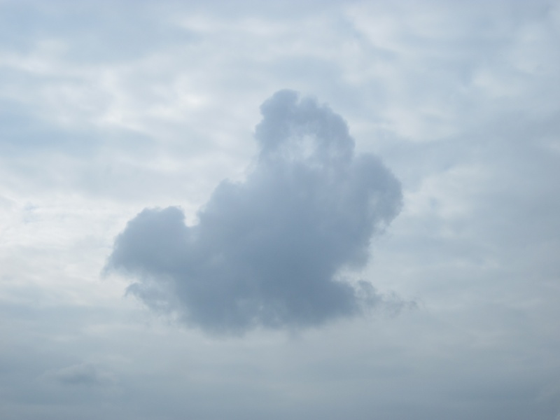 nuage en forme d'oiseau Img_0611