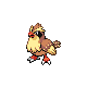 Pokemon Storage Pidgey10