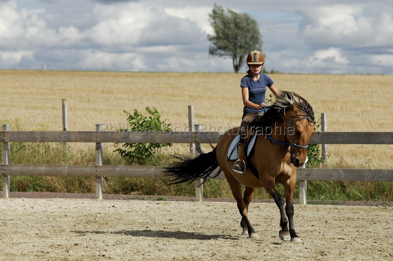 equitation - cheval et équitation - NOS expériences personnelles - Page 2 Equita10