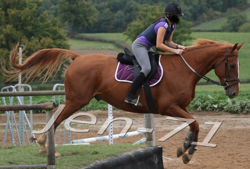 Tapis et culottes d'équitation Vente112