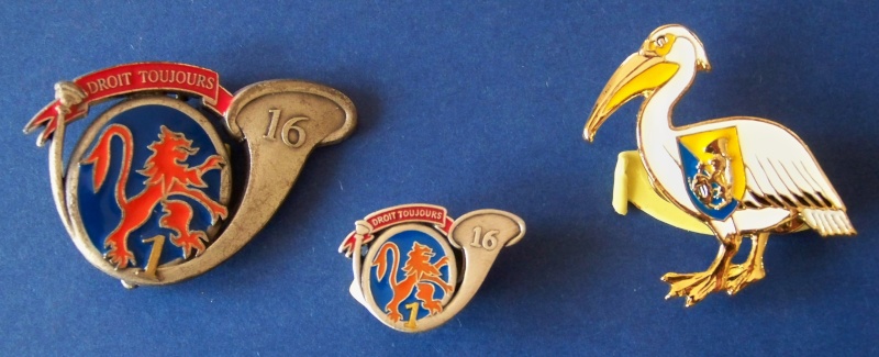 Pins du 16° 100_1515