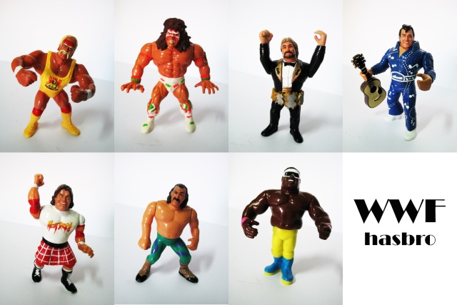Hasbro WWF Wwf10