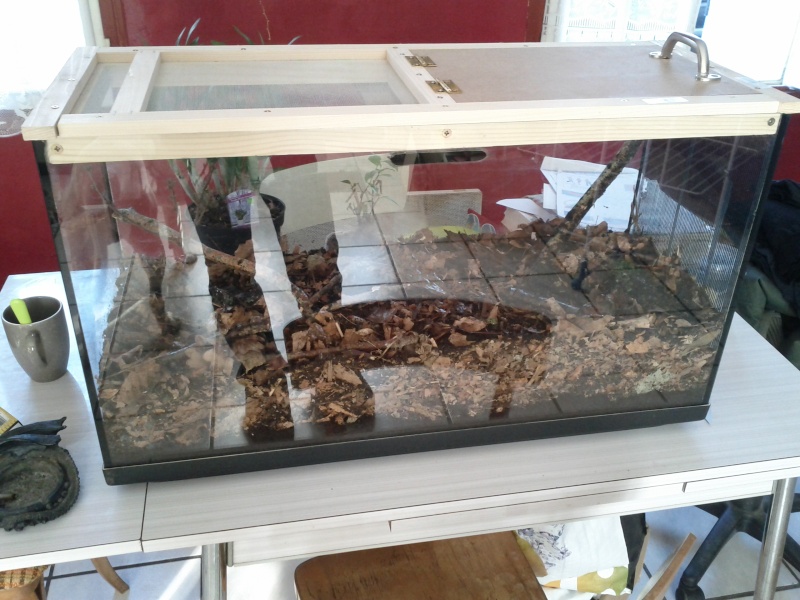 [TERRA] je vous propose une idée pour recycler un aquarium Img_2013