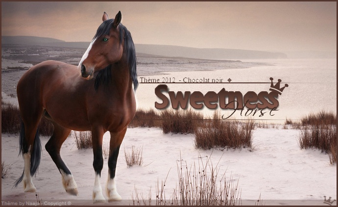 Sweetness Horses