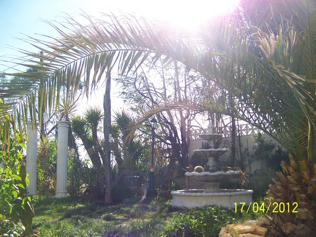 mon jardin avril 2012 100_9518