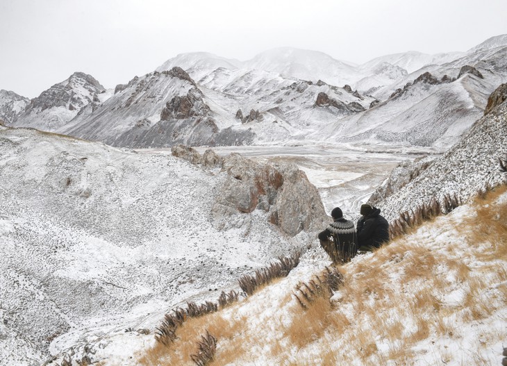 plantes dans le film "La panthère des neiges" Image10