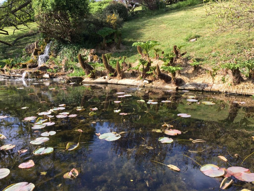 (24) Les Jardins d'Eau - Carsac-Aillac (Sarlat) - Page 2 Img_0640