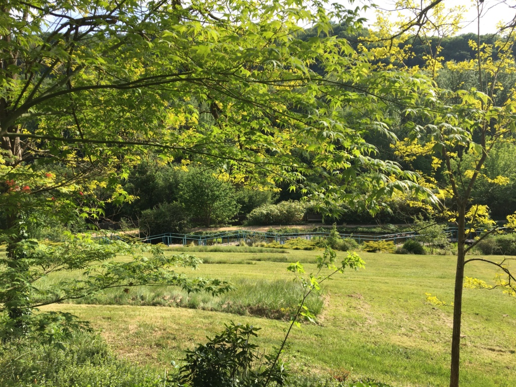 (24) Les Jardins d'Eau - Carsac-Aillac (Sarlat) - Page 3 Img_0641